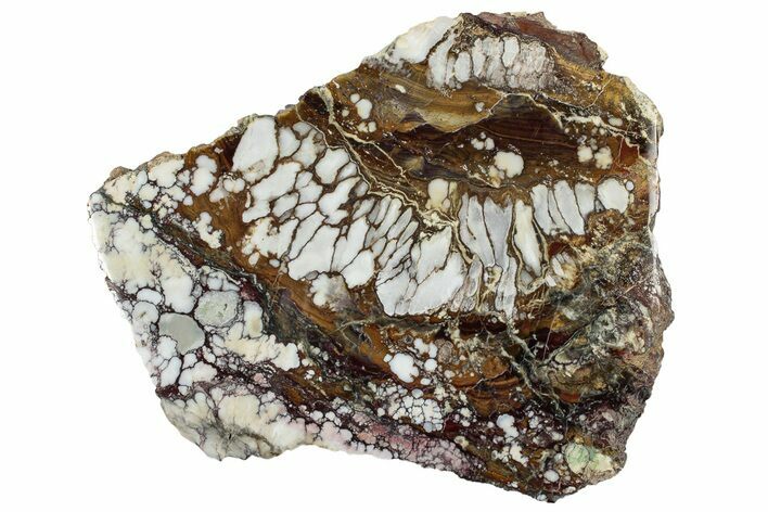 Polished Wild Horse Magnesite Slab - Arizona #301693